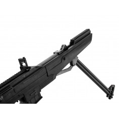 Carabine Beeman double Barrel 2015S à air comprimé 20 J 2