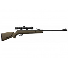 Carabine Gamo Big Cat 1000E Barricade 4,5 mm Scope 4X32 WR 20J 2